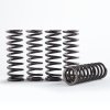 Clutch spring kit HINSON CS215-5-001 (replacement spring kit for H215)